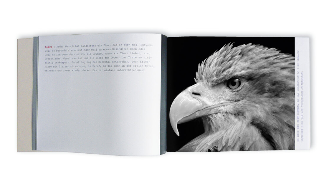 Aufgeklappte Imagebroschüre. Auf der rechten Seite ist vollformatig das Profil eines Adlers zu sehen. Gestürzt steht mit einer alten Schreibmaschine getippt die Bildunterschrift.